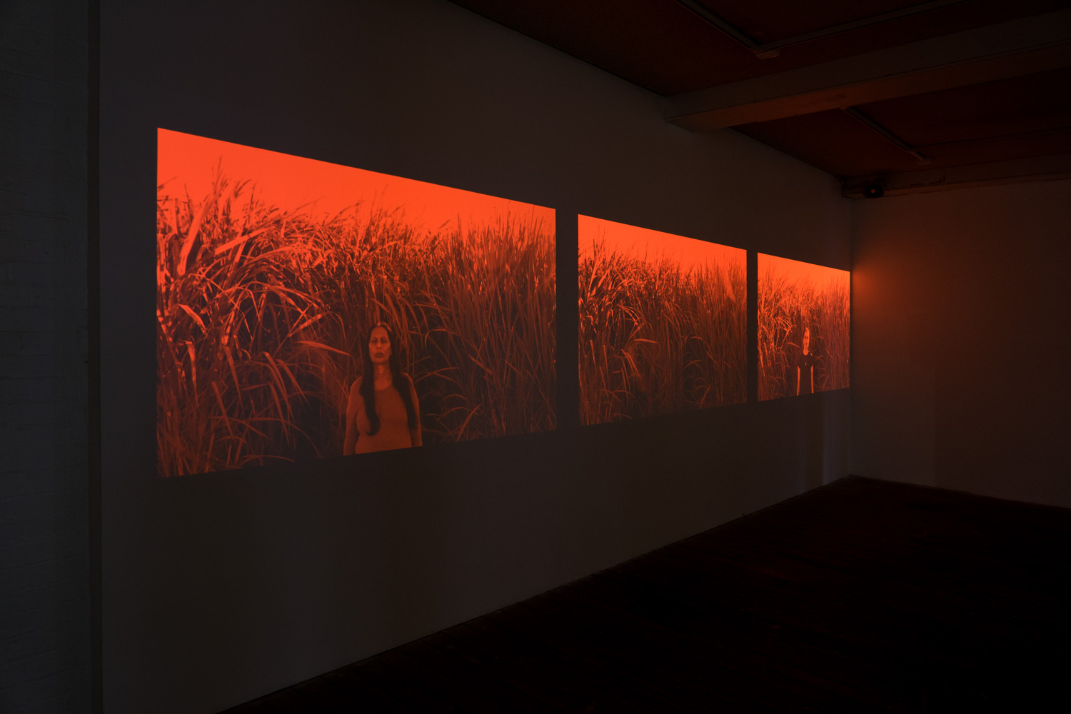Bloodline Exhibition LR-19