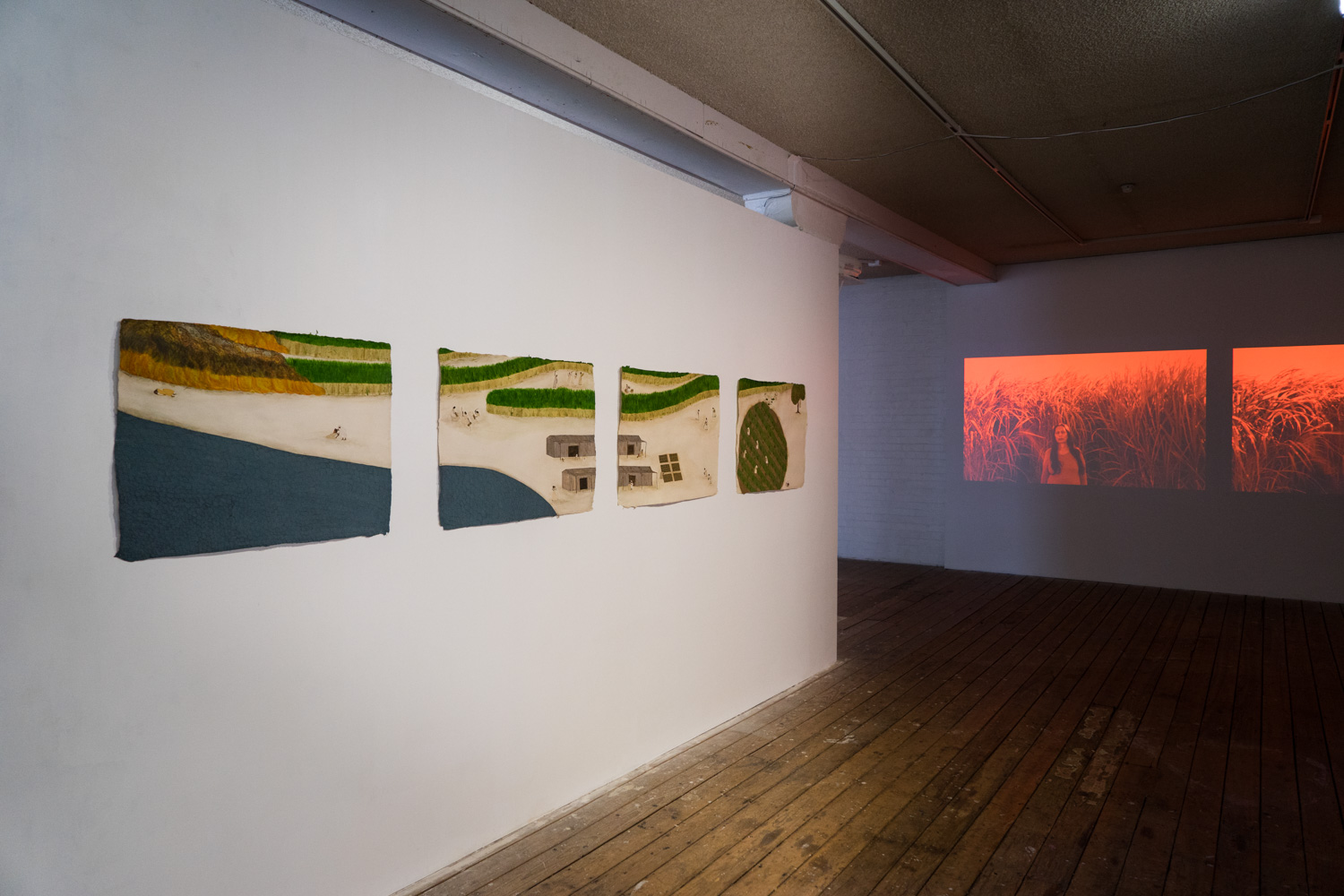 Bloodline Exhibition LR-25