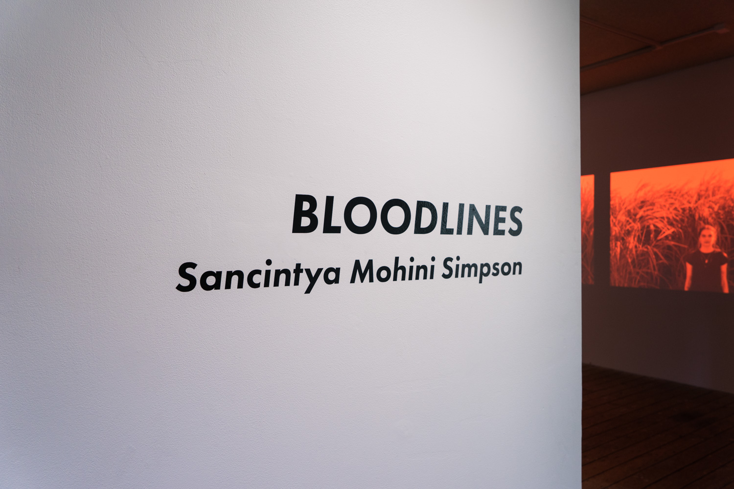 Bloodline Exhibition LR-40