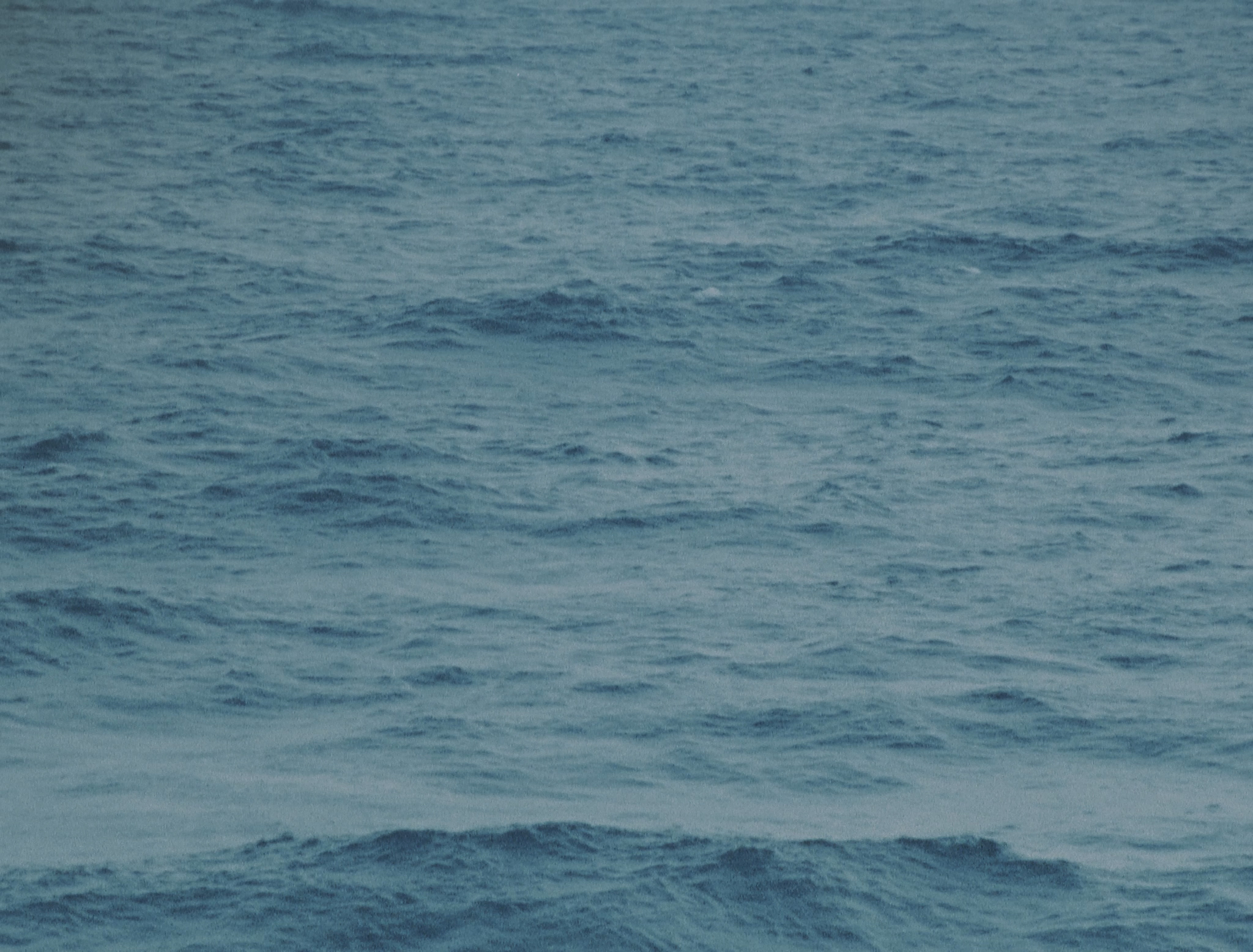 Sequence-01.00_00_16_14.Still005
