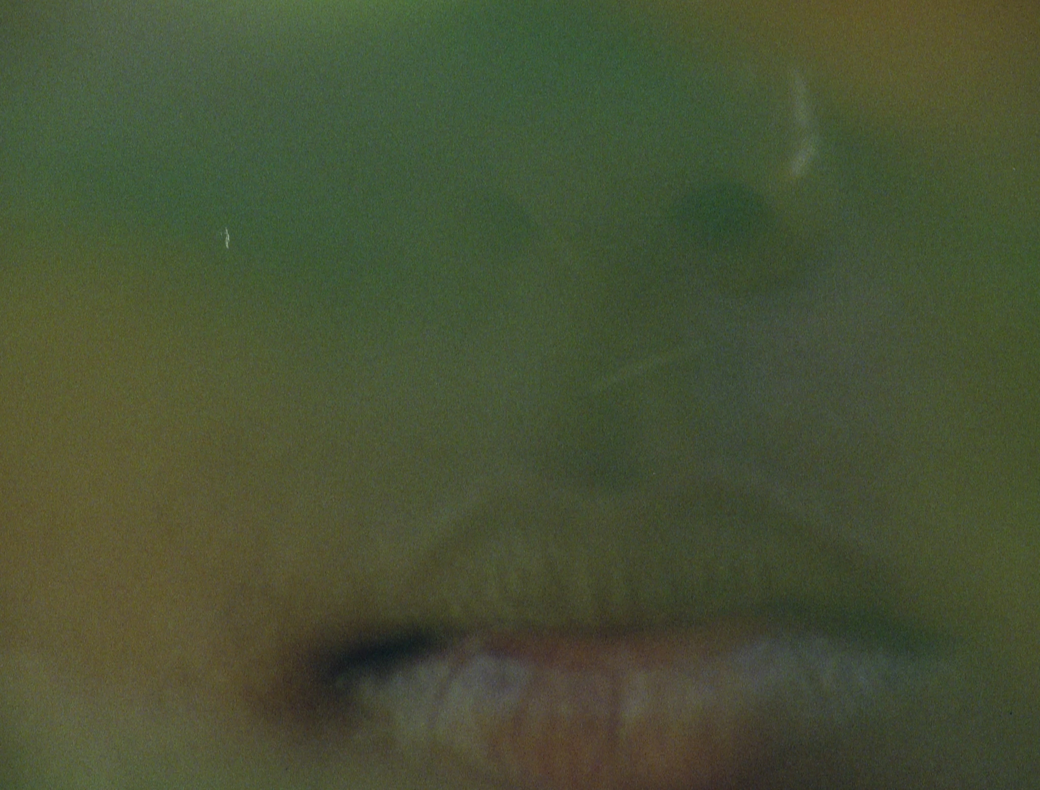 Sequence-01.00_01_24_06.Still004