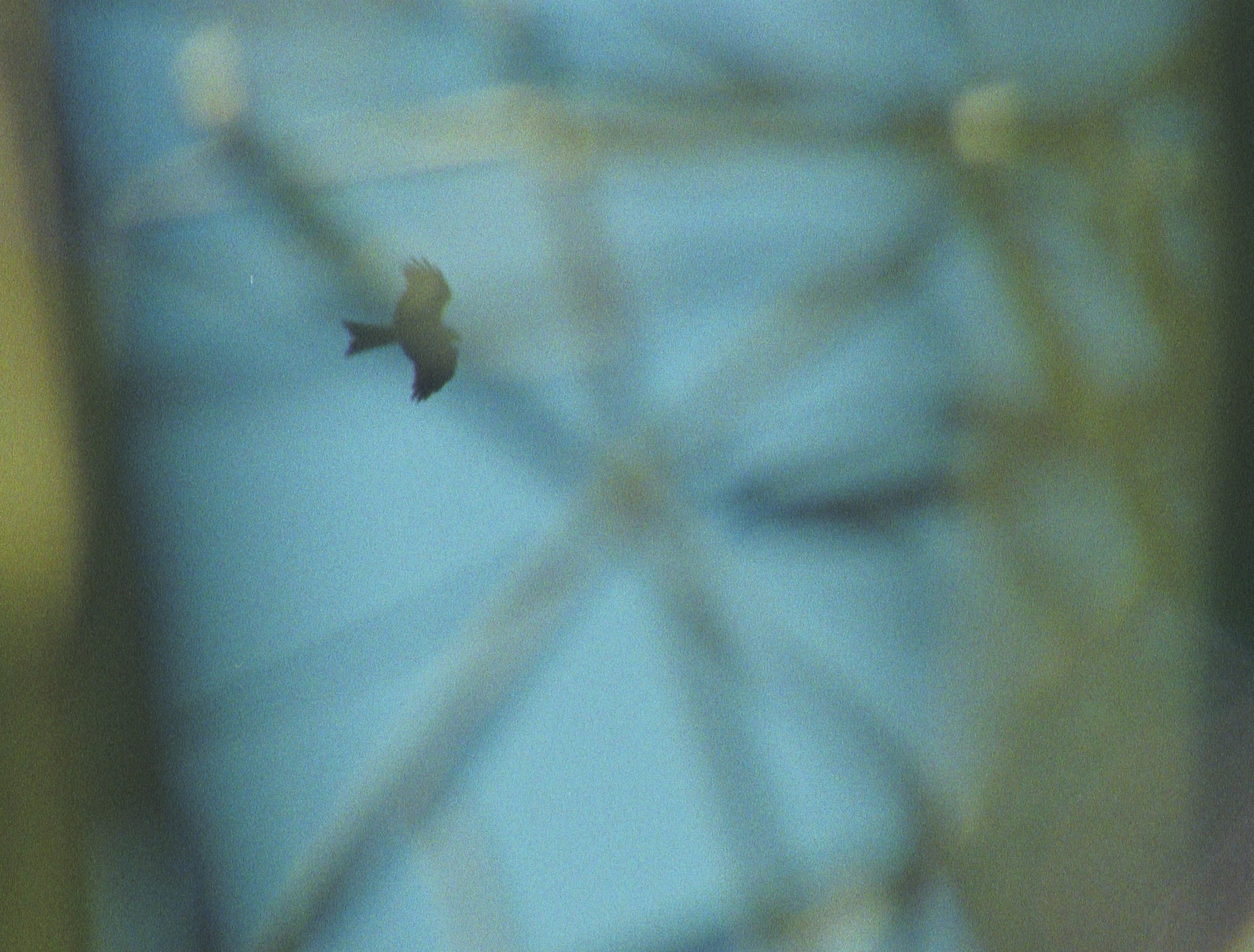 Sequence-01.00_01_42_21.Still003